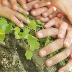 Antroposofía: el camino del conocimiento de Rudolf Steiner