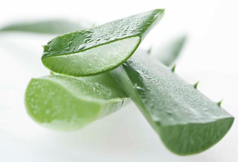 beneficios del aloe vera liquido en el herbolario