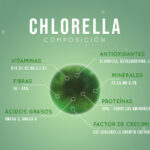 Beneficios y usos de la chlorella ecológica