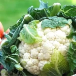 Coliflor Cruda: Recetas Deliciosas y Nutritivas
