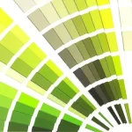 Importancia del color verde