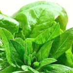 Espinacas: Descubre todos sus beneficios y propiedades para la salud