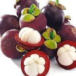 Garcinia Mangostana: Descubre sus poderosas propiedades medicinales
