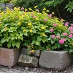 Hipocirta (Nematanthus): Tipos, Cuidados y Consejos para el Jardín