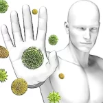 Lactoferrina: El antibiótico natural contra la candidiasis