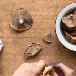Cómo cocinar níscalos: recetas y trucos para disfrutarlos