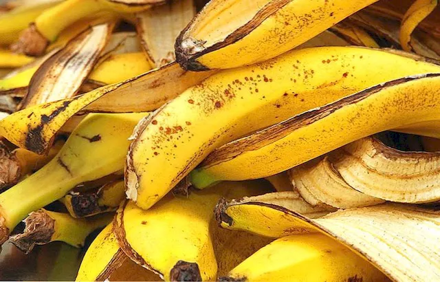 piel de platano