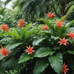 Cuidados del Caladium - Consejos para Crear un Jardín Exuberante con Caladio