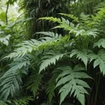 Plantas con Hojas Largas y Delgadas - Tipos y Características Fascinantes