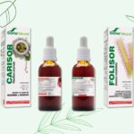 Productos naturales: tratamientos y cosmética en herbolarios online