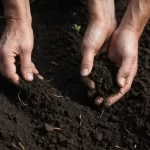 Significado de Profundidad del Suelo - Definición en Diccionario y Explicación